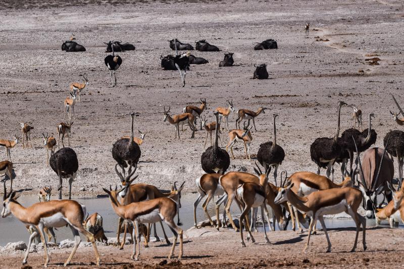 Namibia-2016-55