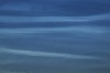 NLC-2025-4