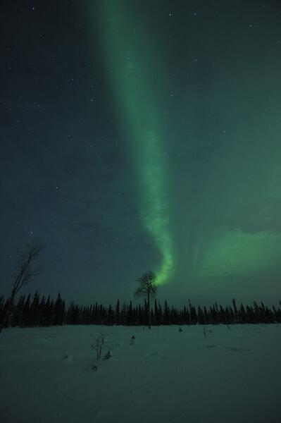 Lapland_2014_DSC7774