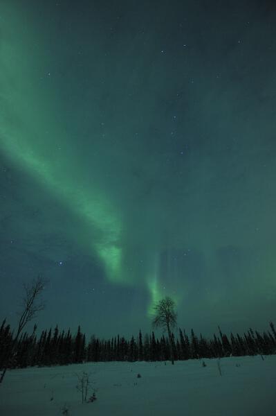 Lapland_2014_DSC7782