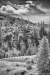Rauris-2022-BW-01