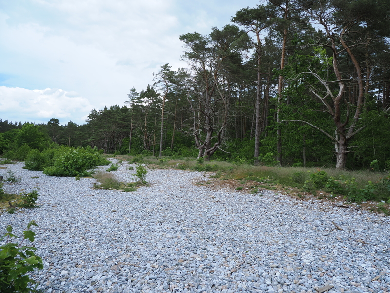 Ruegen-2024-15