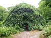 Ruegen-2024-5