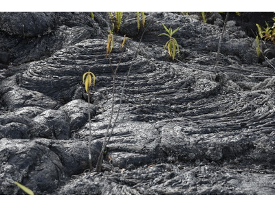 Slideshow-2025-12