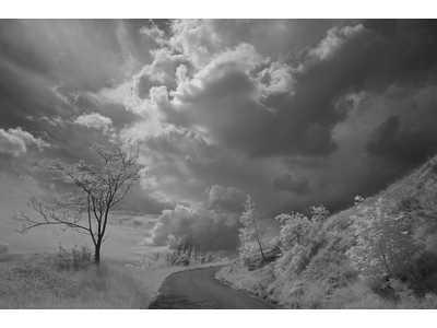 Slideshow-2025-14